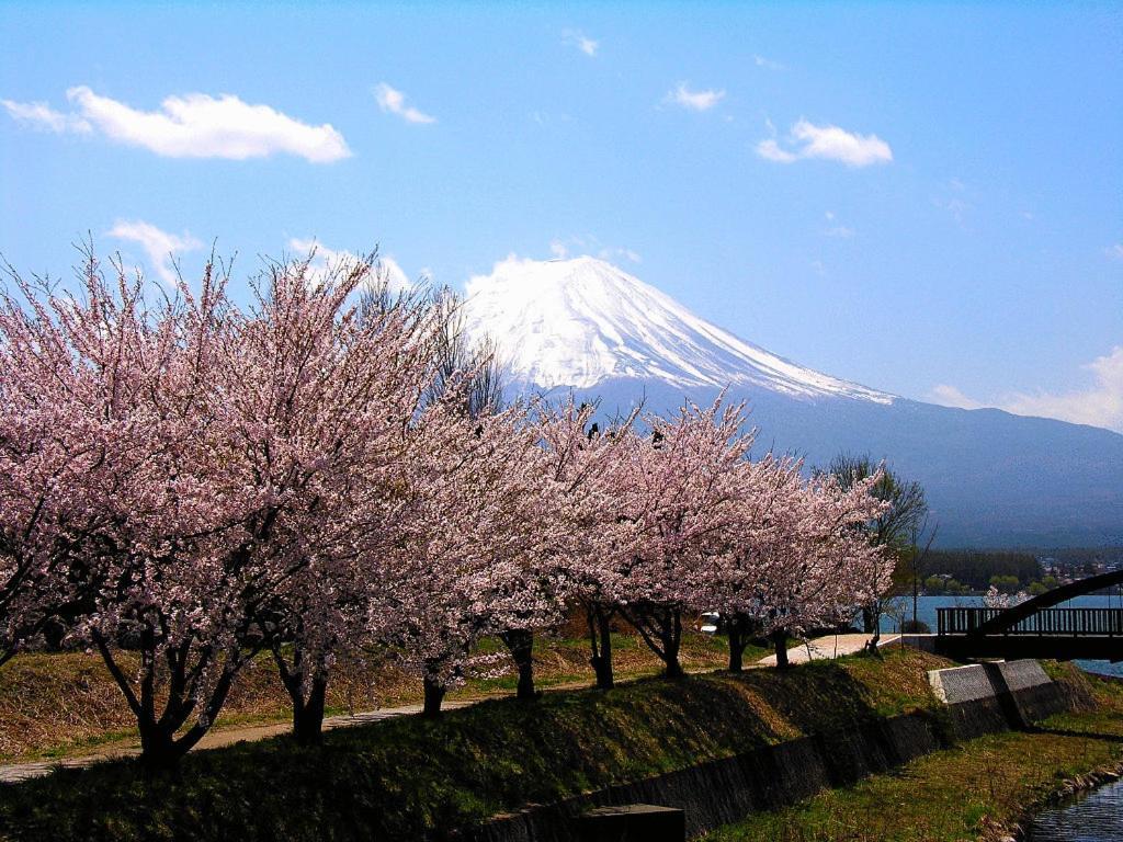 Guesthouse Sakuya Fujikawaguchiko Buitenkant foto