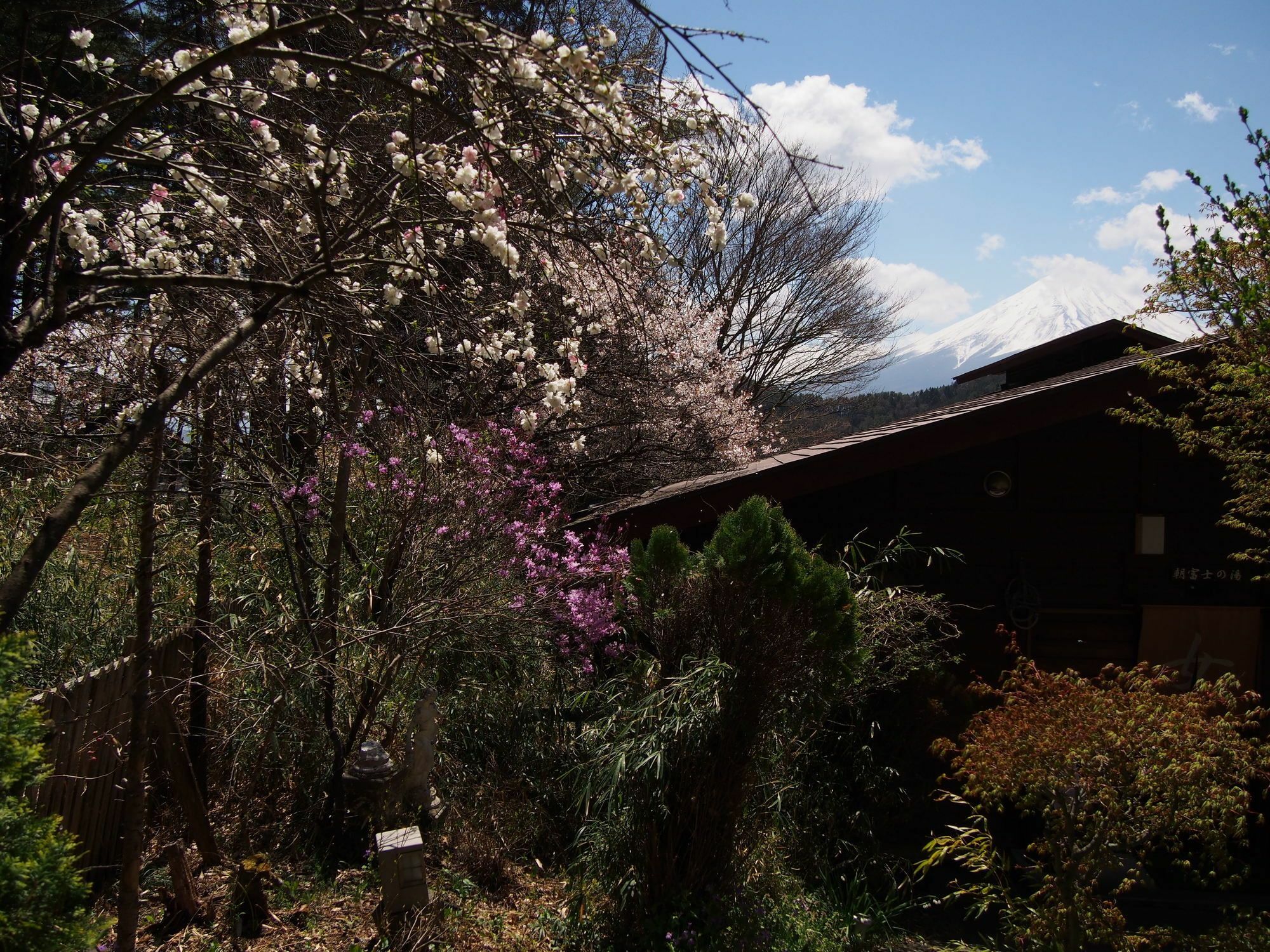 Guesthouse Sakuya Fujikawaguchiko Buitenkant foto